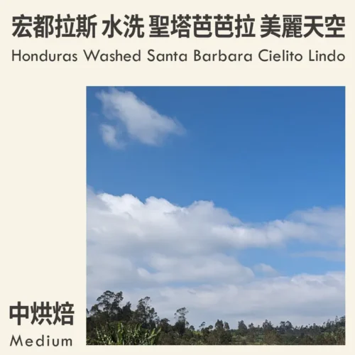 Honduras Washed Santa Barbara Cielito Lindo