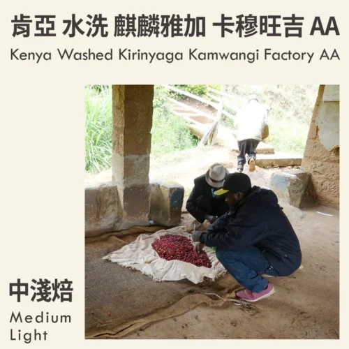 Kenya Washed Kirinyaga Kamwangi Factory AA